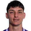 D. Walti