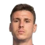 D. Pavlović