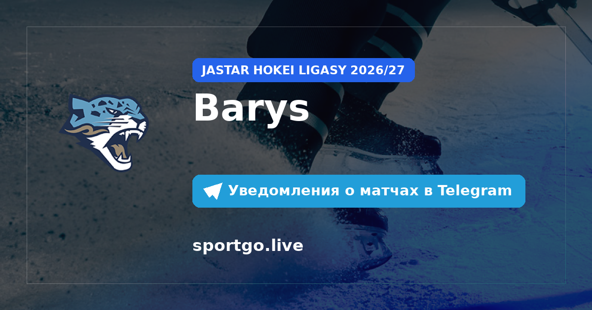 Постер подписки на команду Barys