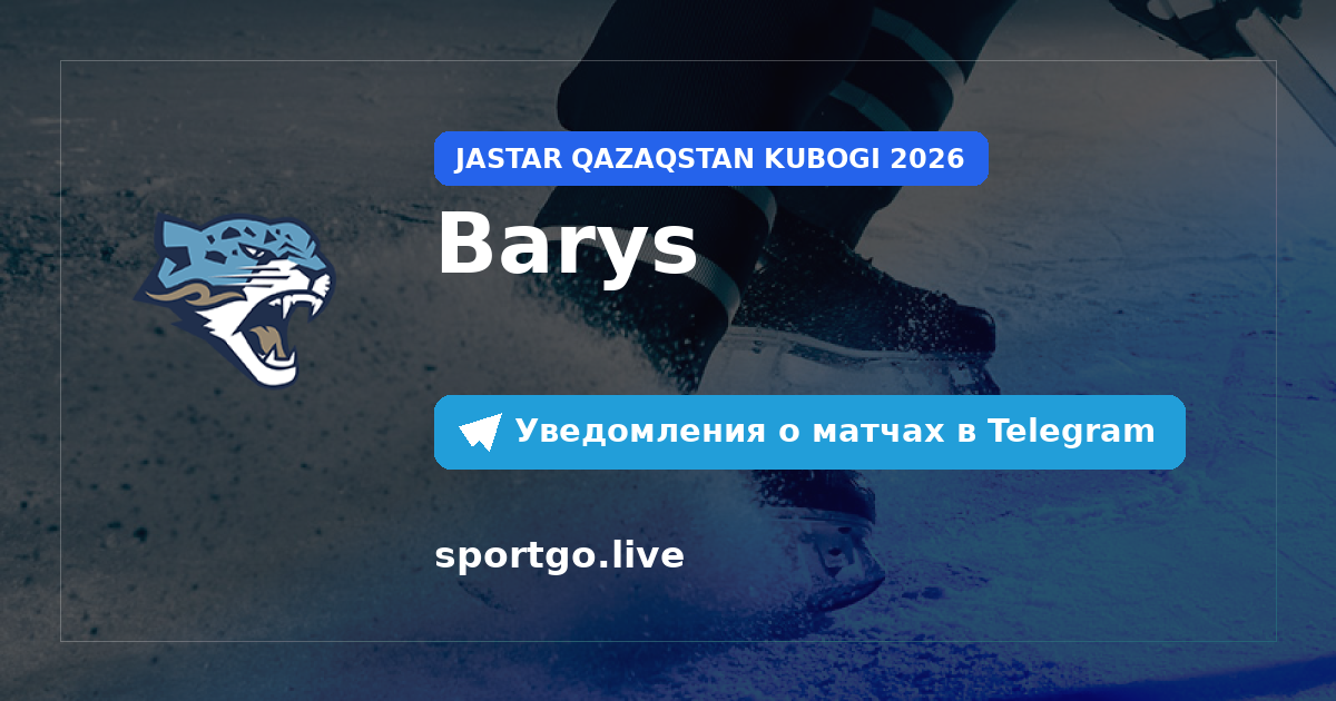 Постер подписки на команду Barys