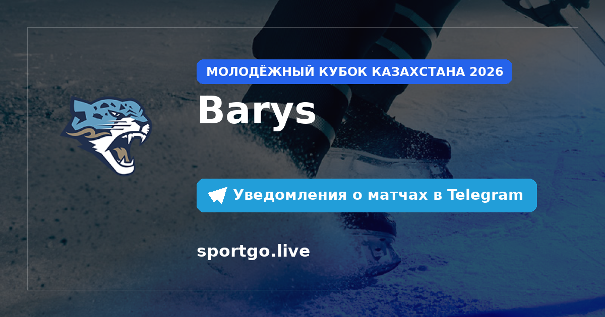 Постер подписки на команду Barys