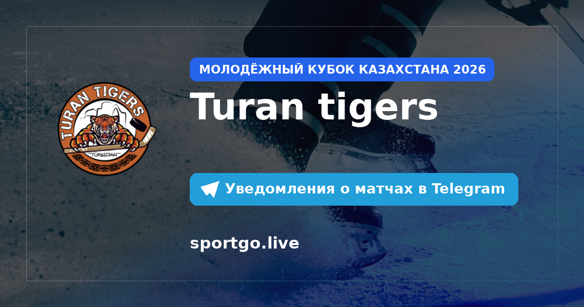Постер подписки на команду Turan tigers