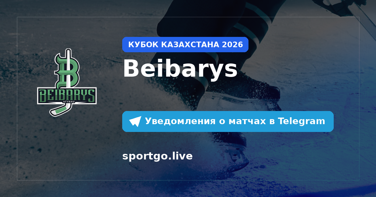 Постер подписки на команду Beibarys